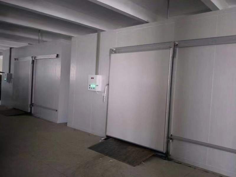 Custom Cold Storage Room For Fish And Meat Freezing With Automatic Control System