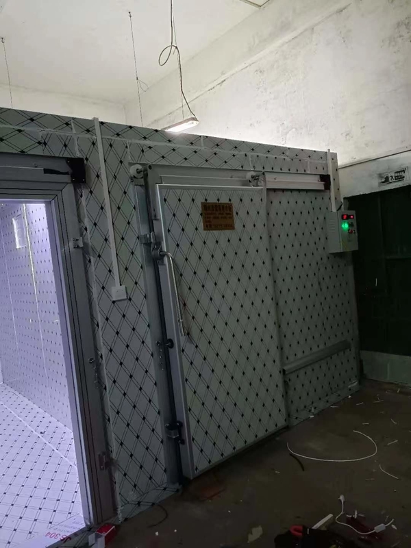 Custom Cold Storage Room For Fish And Meat Freezing With Automatic Control System