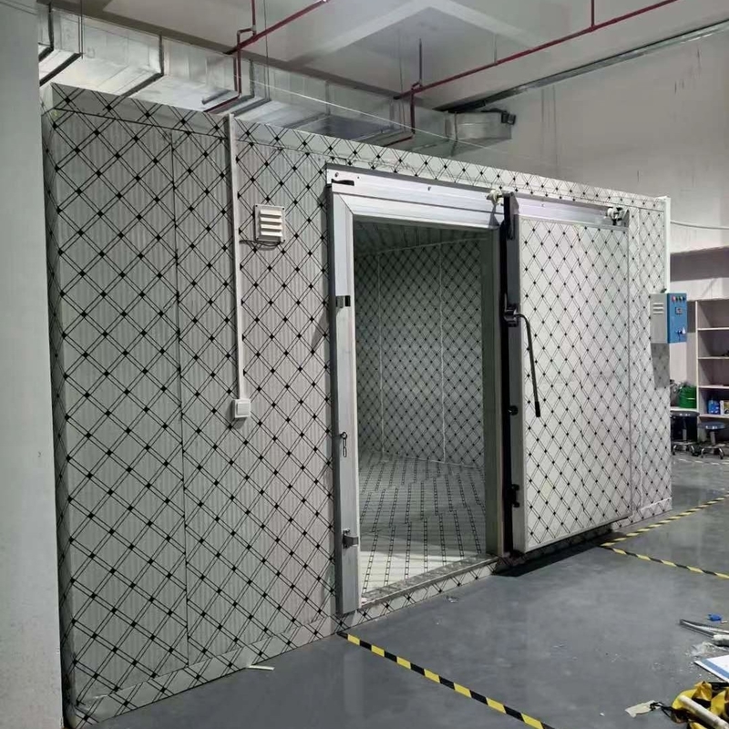 Custom Cold Storage Room For Fish And Meat Freezing With Automatic Control System