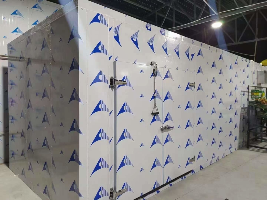 Custom Walk-In Refrigerator Cold Room Storage Room For Fruit Vegetable