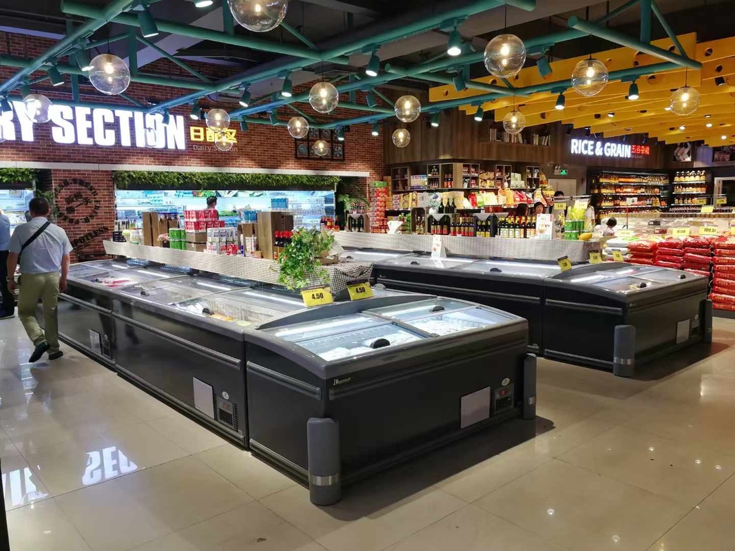 Direct Cooling System Commercial Display Freezer With -18--22°C Temperature And 630L Volume