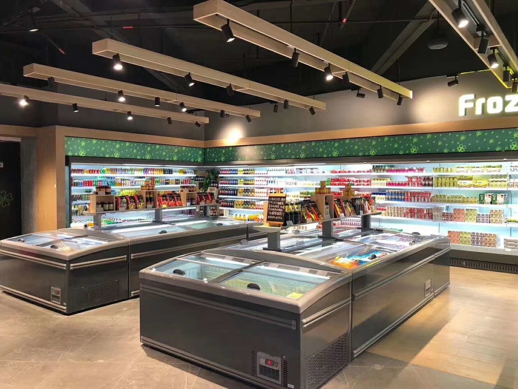 Direct Cooling System Commercial Display Freezer With -18--22°C Temperature And 630L Volume