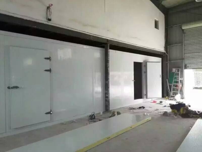 High-Performance Polyurethane PU Sandwich Panels For Cold Storage Rooms Walk In Freezer