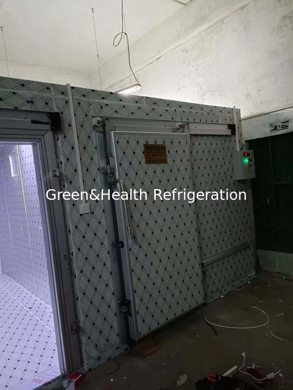 Cold Chain Storage Solutions Low Noise Walk-in Freezer High-Capacity Freezer Room
