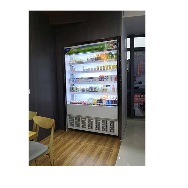 Supermarket/Convenience Store Food Storage Display Small Commercial Refrigerator