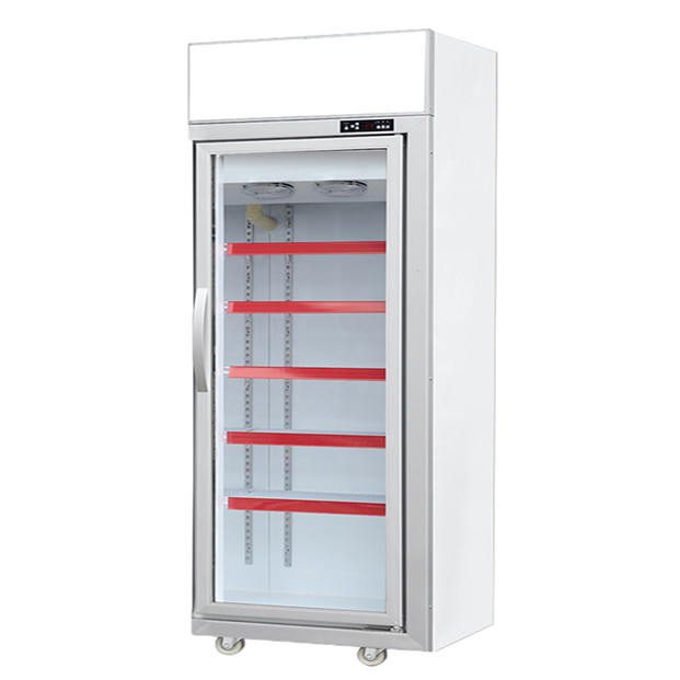 Commercial Supermarket / Store With One Glass Doors Equipped Freezing Display Refrigerators