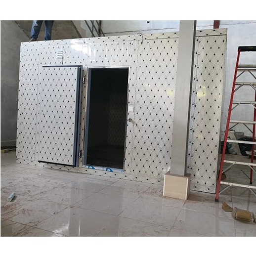 PU Panels Cold Storage Room Walk-In Freezer Modular Cold Rooms With Different Temperature