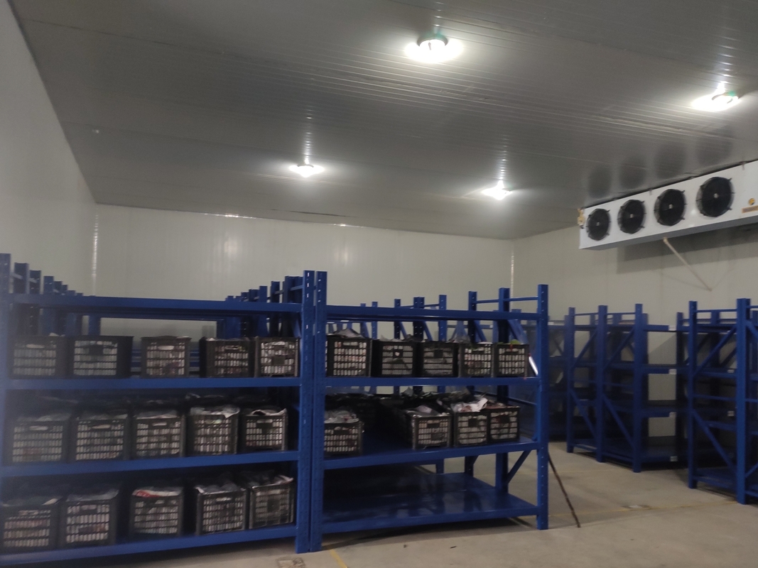 Customized Size Modular Cold Storage Room PU Panels Cold Room Temperature Of -18 Deg C