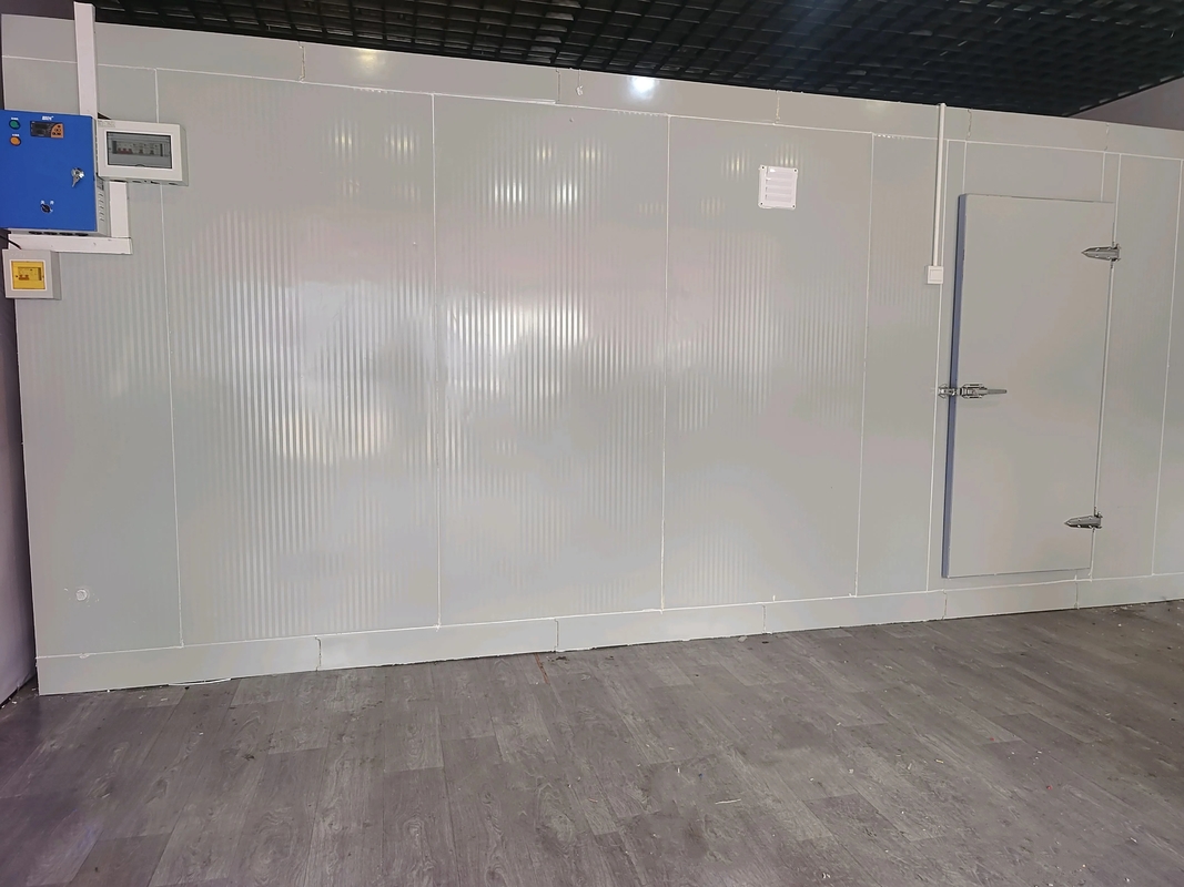 Commercial Walk In Cold Room Freezer PU Insulated Panel Swing Door Fast Install Seafood