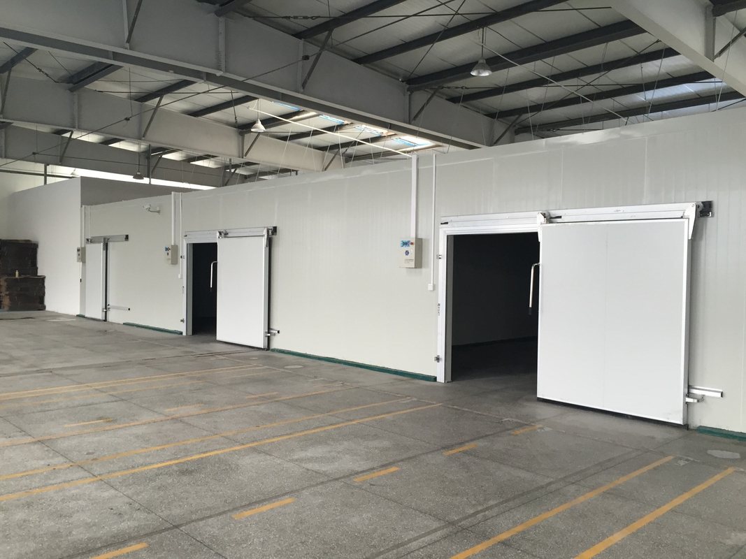 Customized Size Modular Cold Storage Room PU Panels Cold Room Temperature Of -18 Deg C