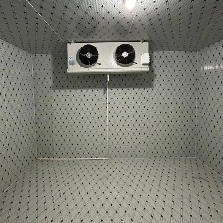 Modular Cold Storage Room Deep-Freezing Requirements Cold Room With Temperature Of -18 To -22 Deg C