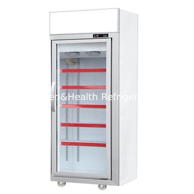 Commercial Glass Door Display Freezer with R290 Refrigerant LED Lighting and Auto Spring Back Door