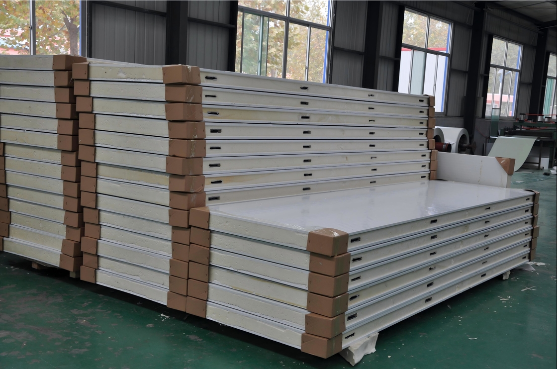Commercial Walk In Cold Room Freezer PU Insulated Panel Swing Door Fast Install Seafood