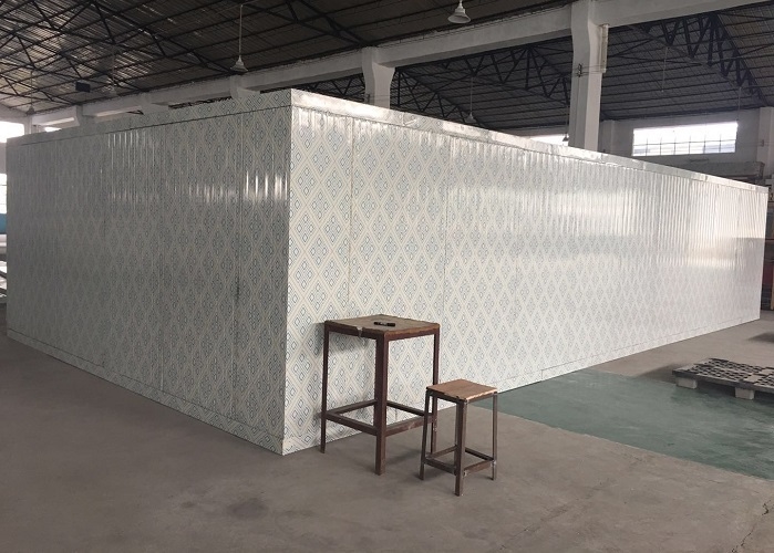 Pu Panel High Quality Commercial Walk In Cold Storage Freezer For Fruits And Vegetables