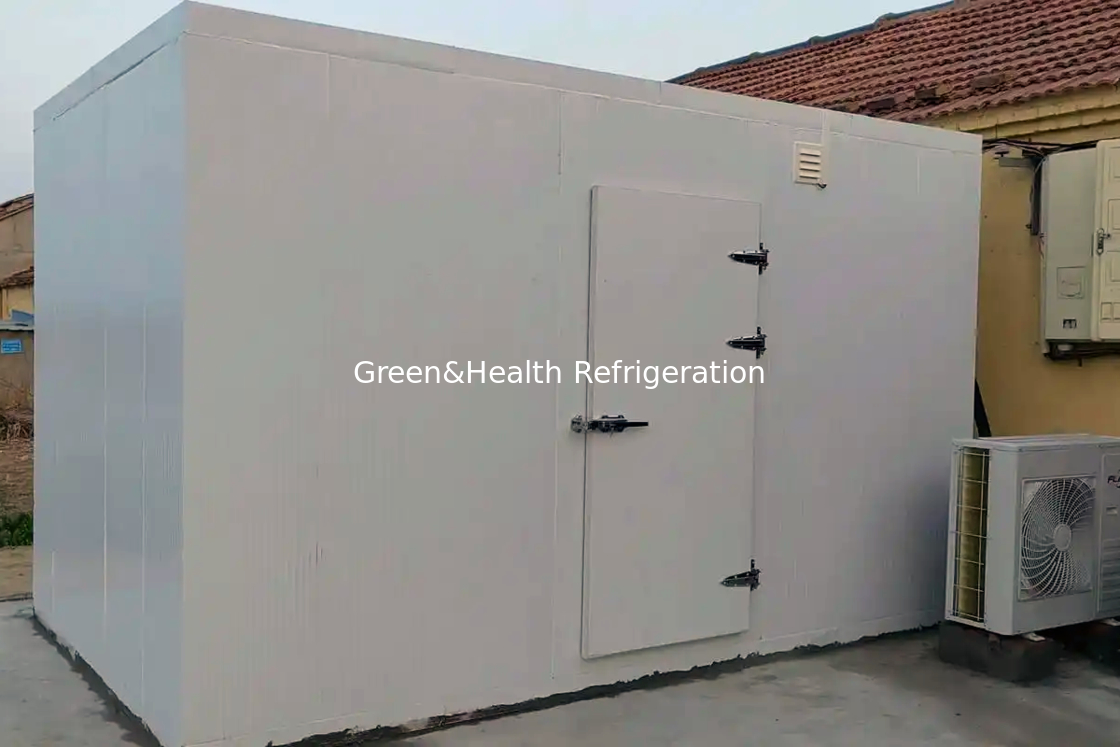 PU Insulation Panel and Air Cooler Evaporator Fish Storage Freezer for Your Business Needs