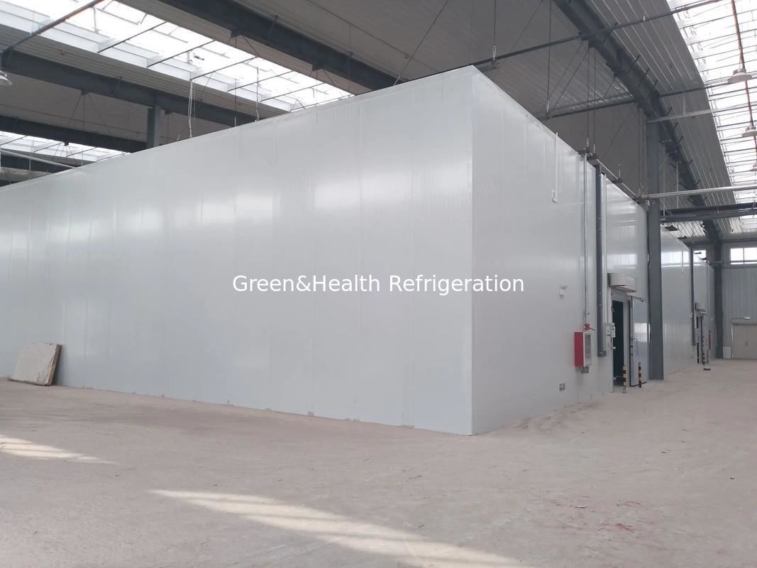 PU Insulation Panel and Air Cooler Evaporator Fish Storage Freezer for Your Business Needs