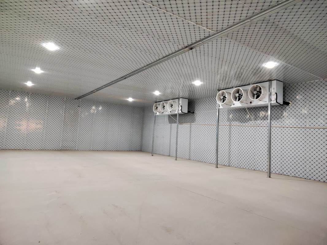 Cold Storage Room for Meat and Seafood with Energy- Insulation and Durable Panels