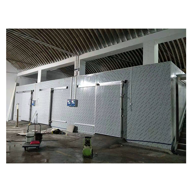 Customizable Cold Storage Room Available in Various Sizes and Temperature Ranges for Your Individualized Requirements
