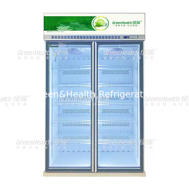 Vertical Commercial Two Defogging Glass Doors Beverage Display Freezer with Auto Defrost Fan Cooling and Adjustable Shelves