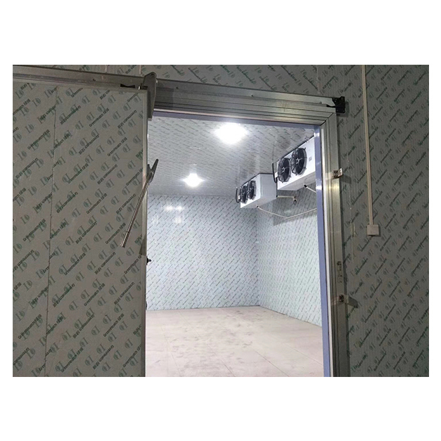 Meat Cold Storage Room Walk In Freezer With Insulation Panels For Meat And Seafood