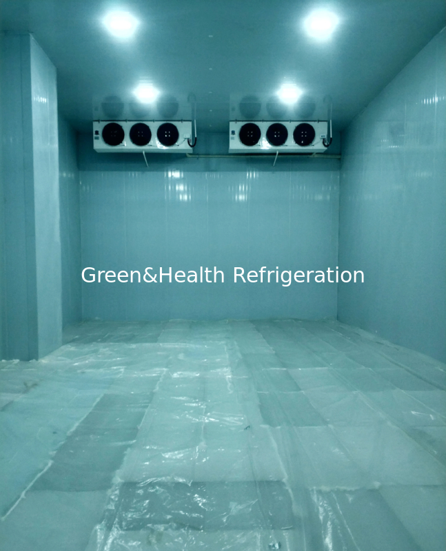 Customizable Size Cold Storage Room with Hard Polyurethane Foam and Auto Electrical Defrost for Optimal Food Preservation