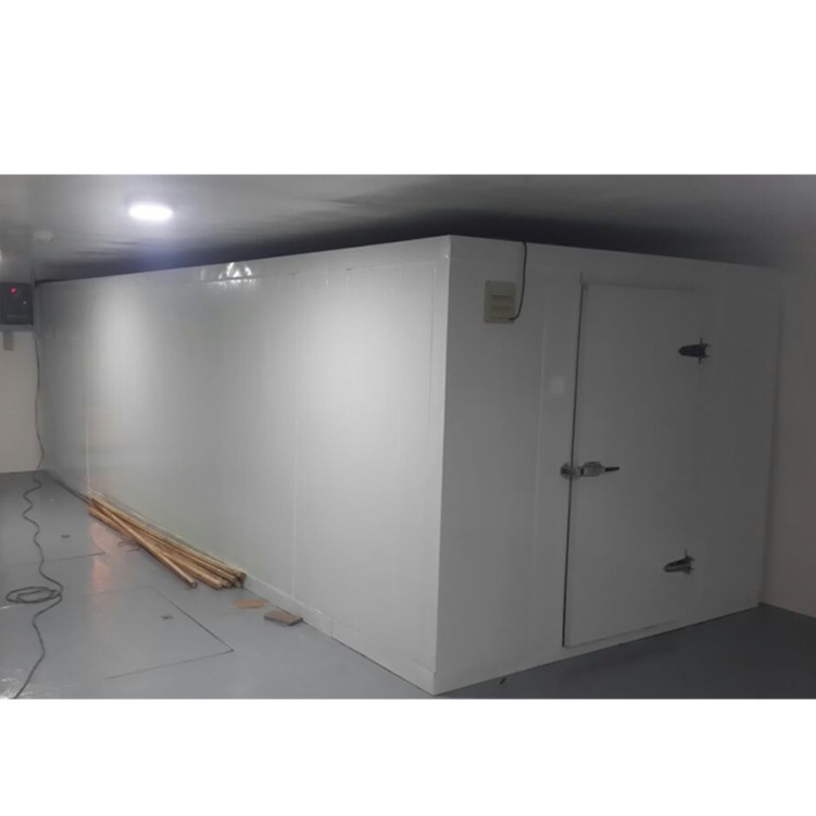 Customizable Cold Storage Room Available in Various Sizes and Temperature Ranges for Your Individualized Requirements