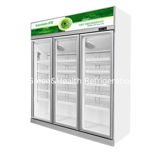 Commercial Beverage Display Freezer with 1154L Capacity Auto Defrost and Fan Cooling for Efficient Beverage Storage