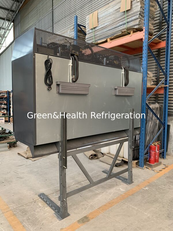 Double-Temperature Combo Display Cabinet Combination Freezer for Retail Shops and Supermarkets