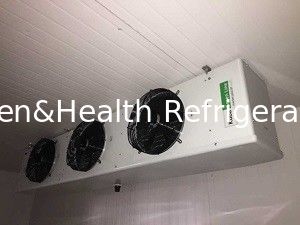50mm Panel Thickness Cold Storage Room With Split Type Condensering Unit For Frozen Food