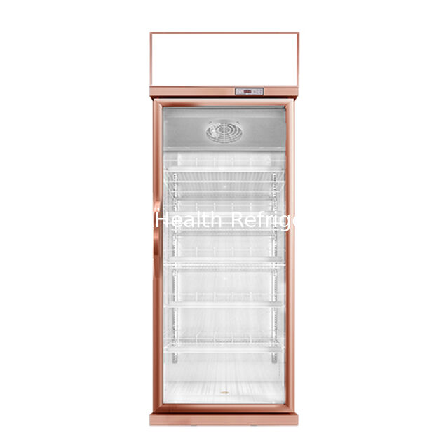 Champagne Color Luxury Beverage Display Freezer with Auto Defrost and 457L Volume for Commercial Use