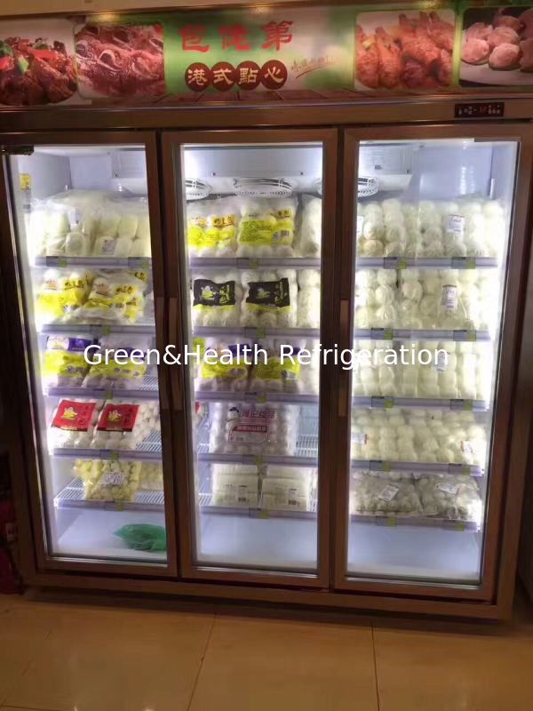 Anti - Mist Glass 1 Door Upright Commercial Display Freezer For Ice Cream