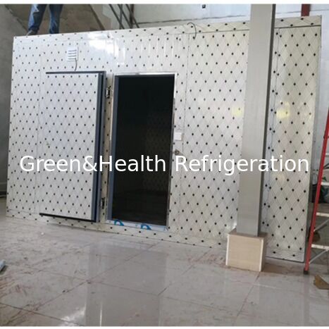0~5℃ Vegetable Cold Storage Room With condesing unit And Customize Size
