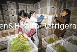Portable Cold Storage Room Frozen Food With Integration Refrigerating Unit