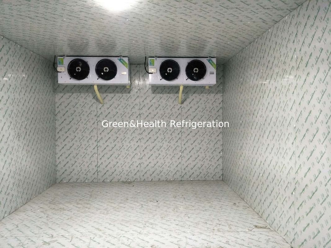 -18 Degree Walk In Cold Ice Storage Room With Swing / Sliding Door