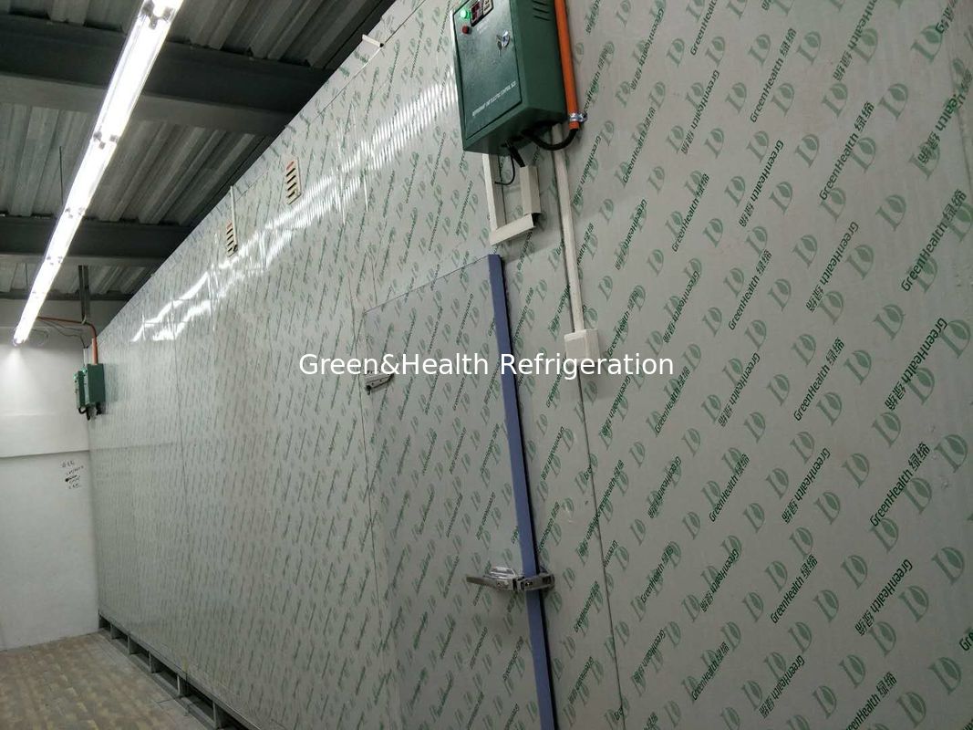 -18 Degree Walk In Cold Ice Storage Room With Swing / Sliding Door