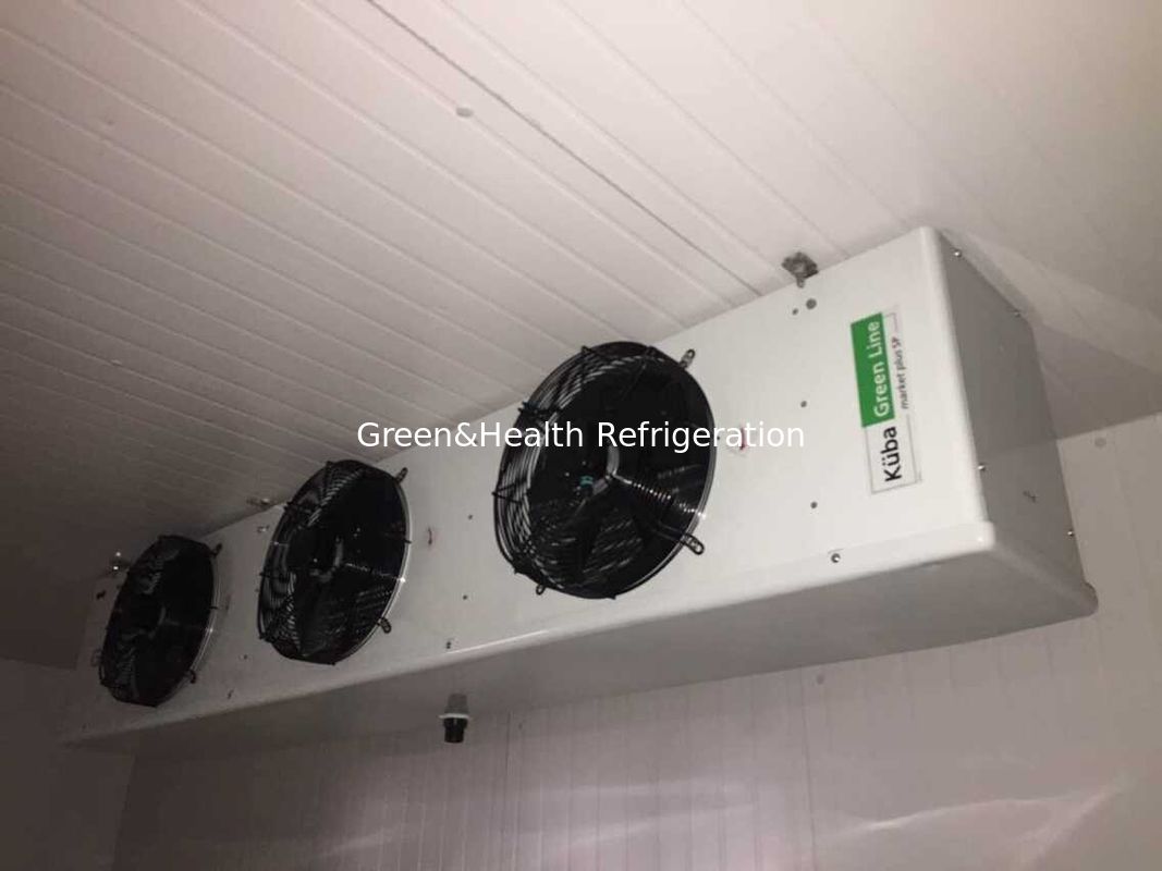 Commercial Walk In Chiller Freezer Cold Storage Room With 15°C~-40°C