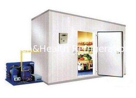 Vegetable And Fruit Cold Storage Room For Ice Cream Temperature 0-8℃