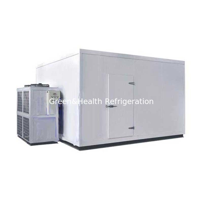 Customized Size Blast Chiller Freezer Warehouse Cold Container Copeland Compressor