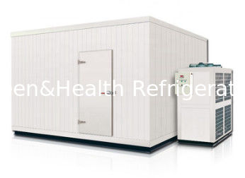 Polyurethane Mobile Modular Freezer Cold Room For Meat And Fish