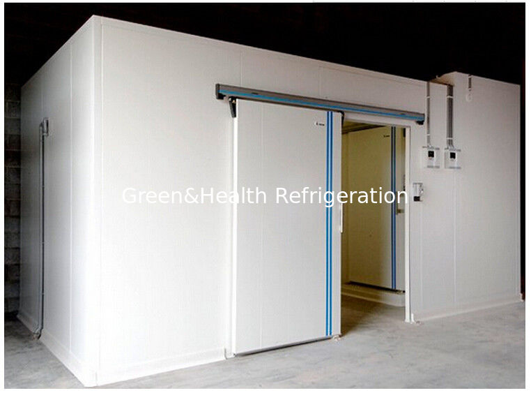 Polyurethane Mobile Modular Freezer Cold Room For Meat And Fish