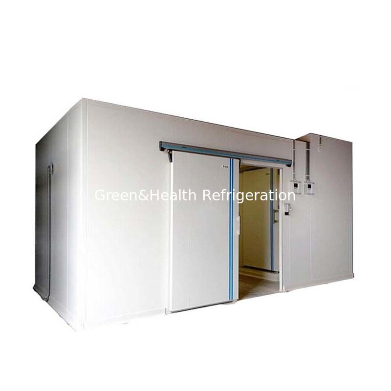 Single Temperature Deep Freezer Frozen Cold Storage Room For Meat And Fish Seafood