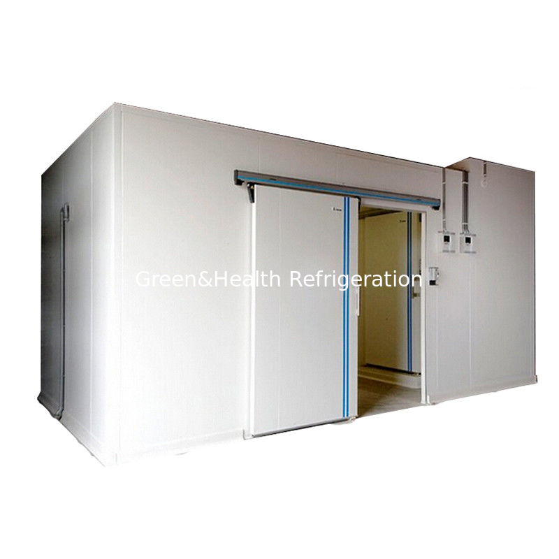 Single Temperature Deep Freezer Frozen Cold Storage Room For Meat And Fish Seafood