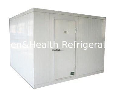 Painted Steel Stainless Steel Walk In Freezer Storage Cold Room For Frozen Food