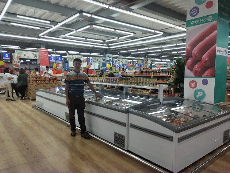 Sliding Curve Glass Door Supermarket Island Deep Freezer With Plug In System