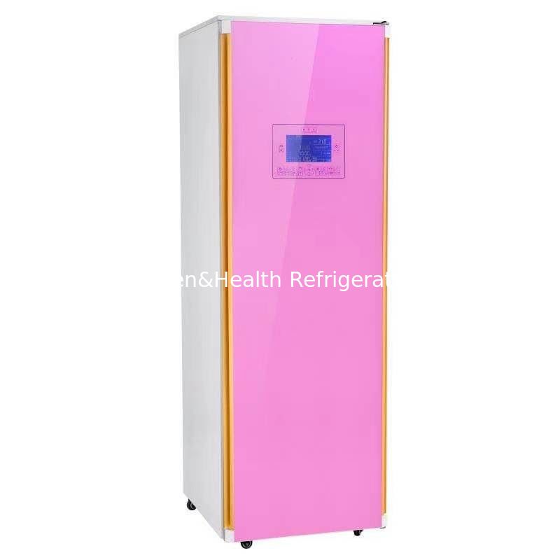 UV Sterilization Electric Closet Type Clothes Dryer Machine PTC Heating Wifi App Control