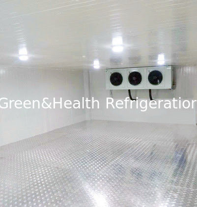 Commercial Walk-In Cold Storage Warehouse with High-Density PU Insulation Intelligent Temperature Control and Modular Expansion
