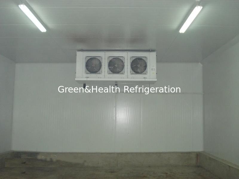 50mm Panel Thickness Cold Storage Room With Split Type Condensering Unit For Frozen Food