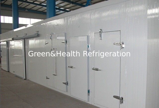 OEM Bulk Meat Cold Storage Chamber Walk In Freezer For Supermarket