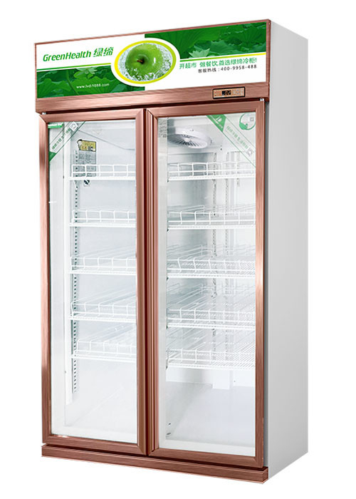 Luxury Style Upright Fridge Commercial Display Cooler Champagne