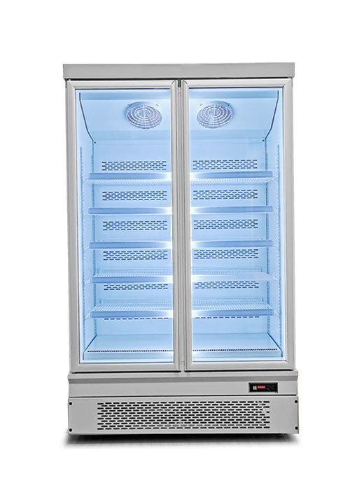 Plug In System Commercial Display Freezer Double door Showcase